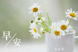向长辈问早安的唯美句子