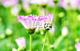 早安的排比句子