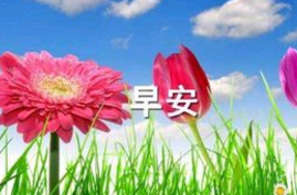 经典的早安句子