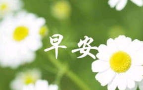 早安捧腹大笑的句子