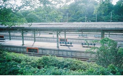 励志说说致自己短语 不熬夜励志图语录