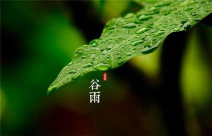 下雪的说说心情短语 他们享受着雨和风的亲吻