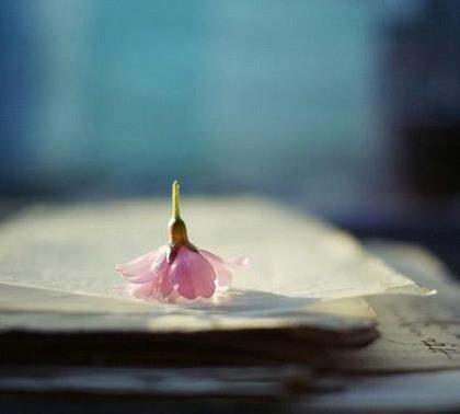 情侣签名一对 可爱的情侣个性签名