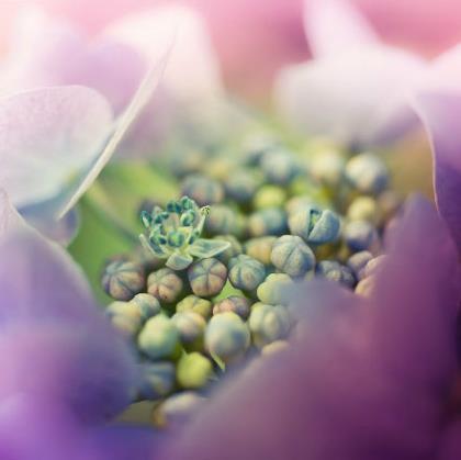 关于下雨天的说说 朋友圈下雨的心情说说