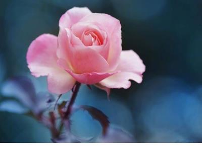 关于下雨天的说说 朋友圈下雨的心情说说