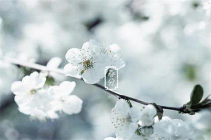 低调而又有内涵的句子 有内涵且伤感的句子