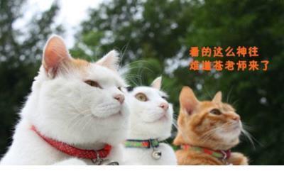 励志的说说要经典的 微信励志说说短句