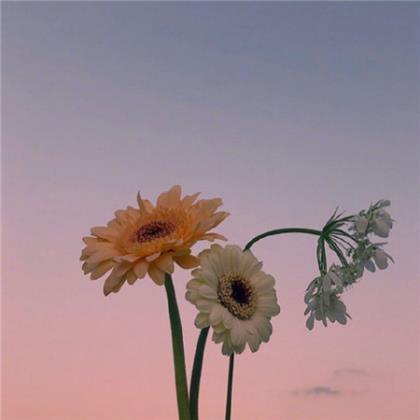 鼓励学生的经典语句 工作鼓励人的心态语句