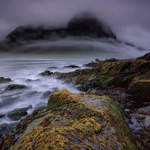 励志说说致自己短语 关于野心的励志名言