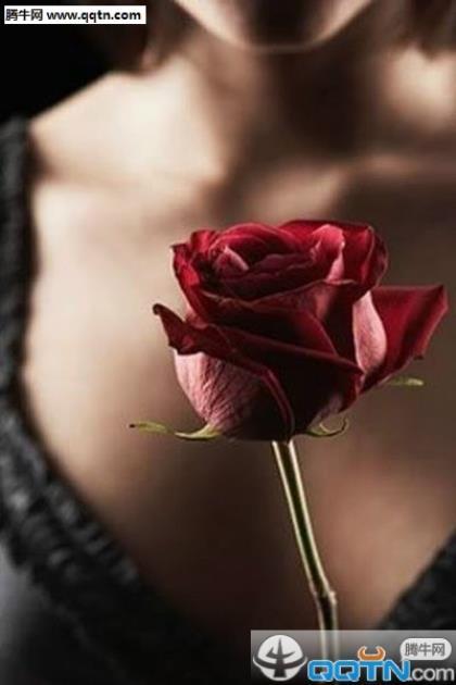 国庆节短信微信问候语