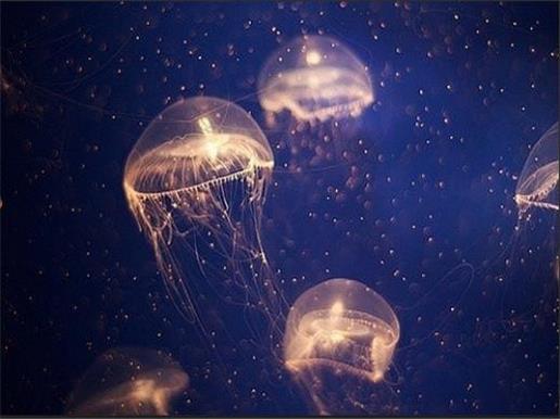 国庆节短信微信问候语