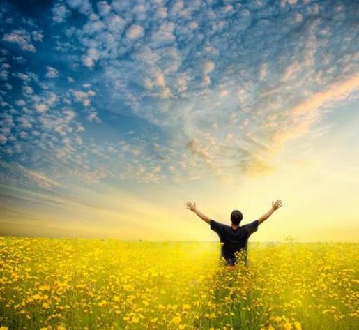 扎心又感悟的情感句子 描写情感的句子和感悟