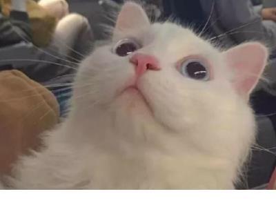 针织企业宣传标语 虽然心不舍，留恋