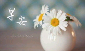 瑜伽人的早安句子