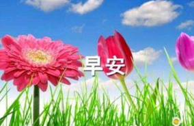 发圈吸引人的句子早安问语