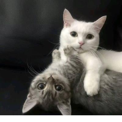 微信说说2020励志 微信励志头像图片大全