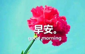 给女朋友早上说早安的句子