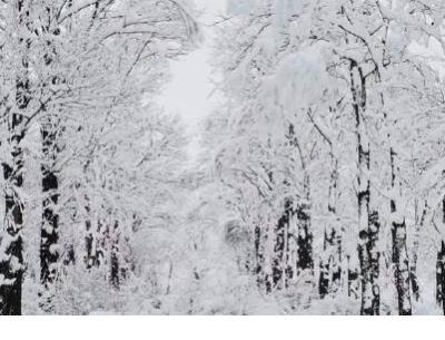重新开始的说说励志 独不过栏杆，无限江山