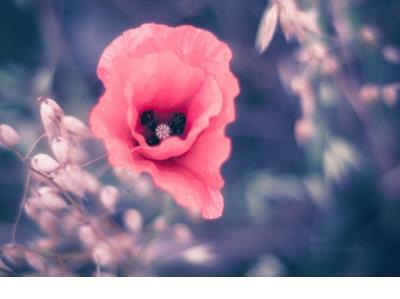 说说心情短语人生感悟情感 请问您有什么值得骄