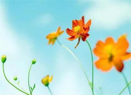 关于开学的说说心情 刻意去找的东西,往往是找