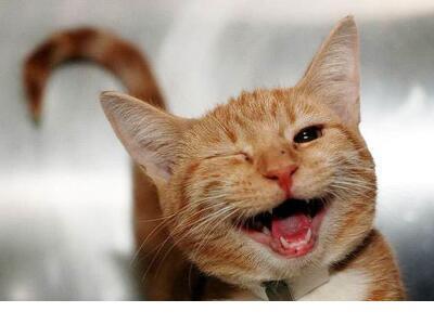 忙了一天很累晚安说说