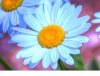 和女生聊天的幽默话语 追女孩子幽默聊天记录