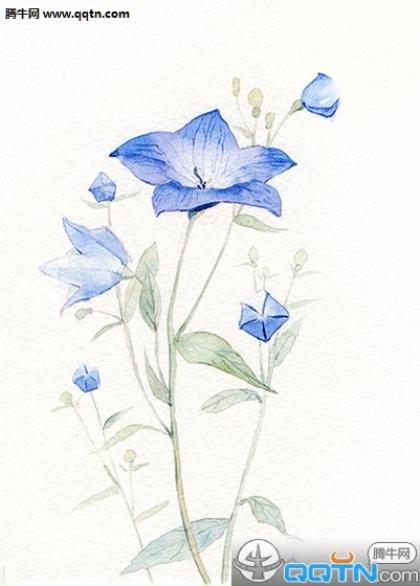 祝自己考试成功的说说 关于考试励志的句子