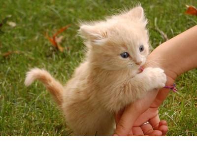 钢铁是怎样炼成的的经典句子 鼓励自己的经典语