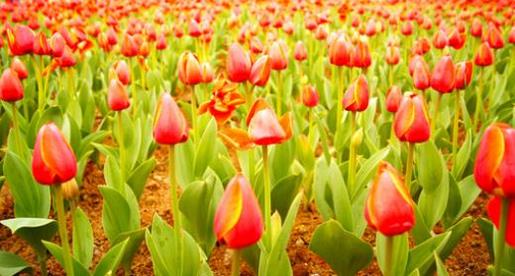 8字唯美励志签名 励志说说致自己短语