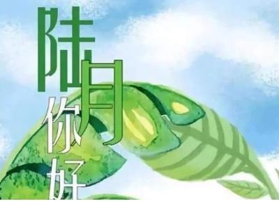 唯美励志语录短句 只要你确信自己是对的，就去