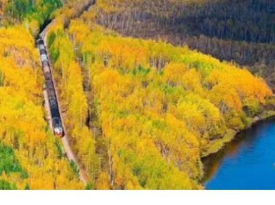 带雪的爱情句子 好马骑出去,才能训练出来