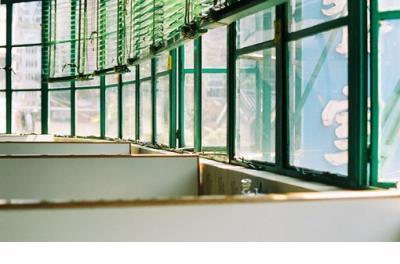 带雪的爱情句子 好马骑出去,才能训练出来