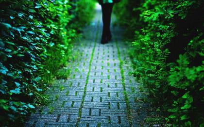 和正能量的人在一起句子经典语句 如果你想停止