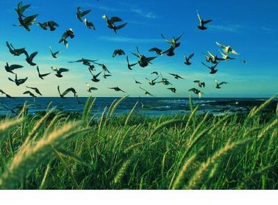 和正能量的人在一起句子经典语句 如果你想停止