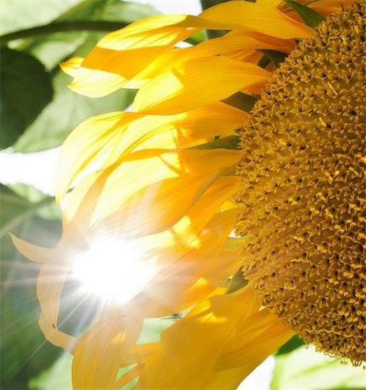 难受想哭的图片表情包 过敏好难受的个性签名