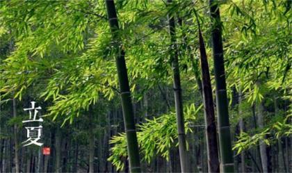 微信早安朋友圈励志说说 早安励志图片带字图片