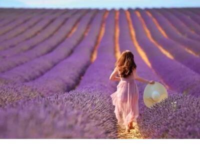 春节回家过年的句子 过年回家的句子