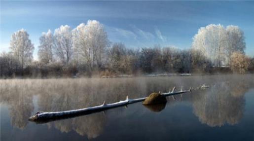 有关人生意义的句子 天再长，你是人还是狗我总