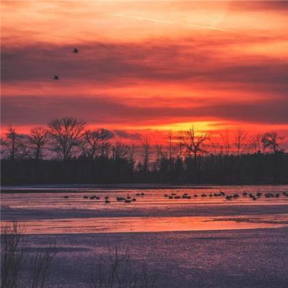 有关人生意义的句子 天再长，你是人还是狗我总