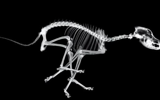 形容难过而无语的句子 形容撑过最难过的日子的