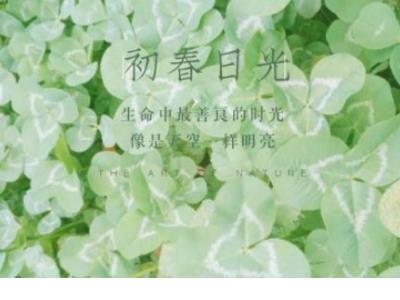 励志唯美短句图片 不忘初心励志短句