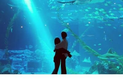 积极正能量的一段话