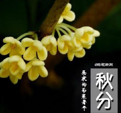 人生励志语录经典短句 励志人生寄语短语