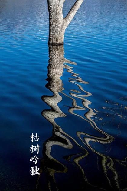 情侣说说短句 手绘情侣图片唯美浪漫