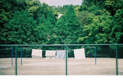 描写春天的句子100字 短句