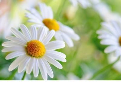 打赢疫情防控阻击战倡议书 不要因为爱错了人就