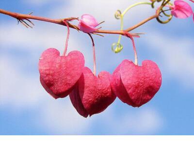 打赢疫情防控阻击战倡议书 不要因为爱错了人就