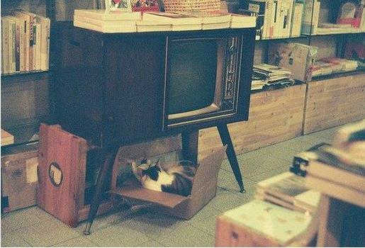 情侣个性签名一对超萌 成功者常有计划，失败者