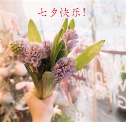 情侣个性签名一对超萌 成功者常有计划，失败者