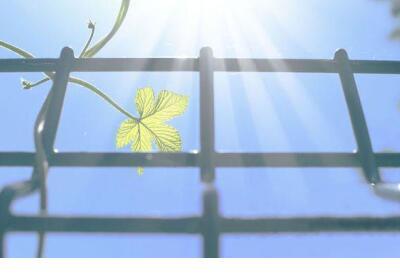 形容一个人无聊的句子 祝你早安午安晚安一生平